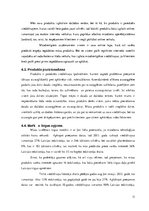 Referāts 'Mārketinga plāna izstrāde izsmidzināmajai silikona aizsargplēvei', 11.