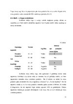 Referāts 'Mārketinga plāna izstrāde izsmidzināmajai silikona aizsargplēvei', 12.