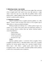 Referāts 'Mārketinga plāna izstrāde izsmidzināmajai silikona aizsargplēvei', 14.