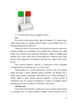 Referāts 'Mārketinga plāna izstrāde izsmidzināmajai silikona aizsargplēvei', 15.