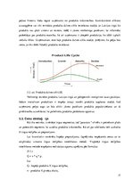 Referāts 'Mārketinga plāna izstrāde izsmidzināmajai silikona aizsargplēvei', 17.