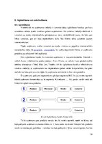 Referāts 'Mārketinga plāna izstrāde izsmidzināmajai silikona aizsargplēvei', 20.