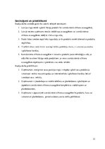 Referāts 'Mārketinga plāna izstrāde izsmidzināmajai silikona aizsargplēvei', 23.