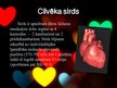 Prezentācija 'Sirds slimības', 3.