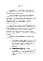 Konspekts 'Organizēšana, vadības sistēma un funkcijas', 1.