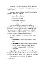 Konspekts 'Organizēšana, vadības sistēma un funkcijas', 3.