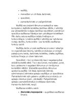 Konspekts 'Organizēšana, vadības sistēma un funkcijas', 4.