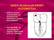 Prezentācija 'Sirdsdarbība', 5.