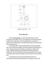 Referāts 'Zvaigžņu evolūcija', 10.