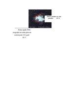 Referāts 'Zvaigžņu evolūcija', 14.