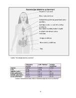 Referāts 'Anoreksija un jaunieši', 35.