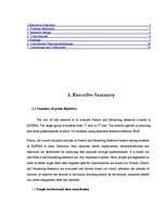 Referāts 'Marketing Research Report', 2.