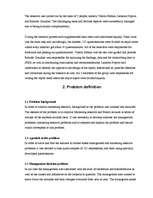 Referāts 'Marketing Research Report', 3.