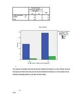 Referāts 'Marketing Research Report', 20.