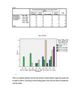 Referāts 'Marketing Research Report', 22.