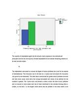 Referāts 'Marketing Research Report', 24.