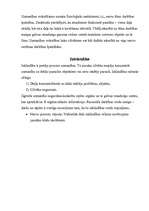 Referāts 'Uzmanība un intelekts', 4.