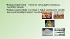 Prezentācija 'Silikātu tehnoloģijas', 2.