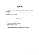 Referāts 'Prātnieks brāļu Kaudzīšu romānā "Mērnieku laiki"', 2.