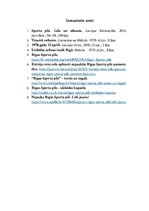 Konspekts 'Rīgas Sporta pils', 3.