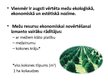 Prezentācija 'Meža resursi un to izmantošana Latvijā', 3.