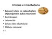 Prezentācija 'Meža resursi un to izmantošana Latvijā', 11.