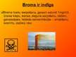 Prezentācija 'Broms', 12.