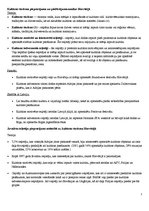 Konspekts 'Kultūras tūrisma pieprasījuma un piedāvājuma analīze Horvātijā', 1.