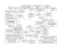 Konspekts 'Uzmanība - domu karte', 1.