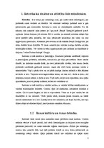 Referāts 'Retorika', 5.