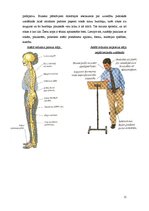 Referāts 'Retorika', 11.