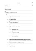 Biznesa plāns 'Individuālais komersants "Atpūtas vieta “Plaudīši”" ', 2.