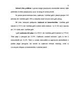 Biznesa plāns 'Individuālais komersants "Atpūtas vieta “Plaudīši”" ', 10.