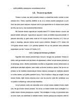 Biznesa plāns 'Individuālais komersants "Atpūtas vieta “Plaudīši”" ', 16.