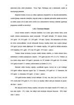 Biznesa plāns 'Individuālais komersants "Atpūtas vieta “Plaudīši”" ', 18.