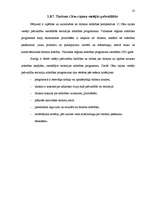 Biznesa plāns 'Individuālais komersants "Atpūtas vieta “Plaudīši”" ', 23.