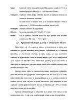 Biznesa plāns 'Individuālais komersants "Atpūtas vieta “Plaudīši”" ', 31.