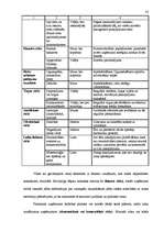 Biznesa plāns 'Individuālais komersants "Atpūtas vieta “Plaudīši”" ', 58.