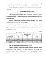 Biznesa plāns 'Individuālais komersants "Atpūtas vieta “Plaudīši”" ', 63.