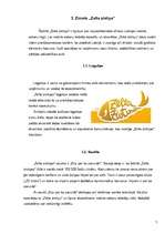 Referāts 'Priekšapmaksas sarunu kartes "Zelta zivtiņa" reklāmas kampaņa', 7.