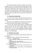 Biznesa plāns 'Eksporta plāns kompānijai', 9.