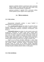 Diplomdarbs 'Muitas noliktavas darbības pilnveidošana', 21.