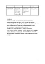 Konspekts 'Starptautiskās ziņas laikrakstā "Diena" par Pekinas Olimpiskajām spēlēm 2008.gad', 6.