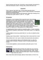 Referāts 'Somija', 10.