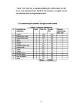 Biznesa plāns 'SIA "Liora"', 11.