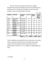 Biznesa plāns 'SIA "Liora"', 14.