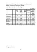 Biznesa plāns 'SIA "Liora"', 15.