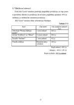 Biznesa plāns 'SIA "Liora"', 17.