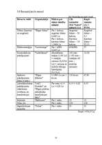 Biznesa plāns 'SIA "Liora"', 18.