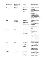 Konspekts 'Terminelementi latīņu valodā', 2.